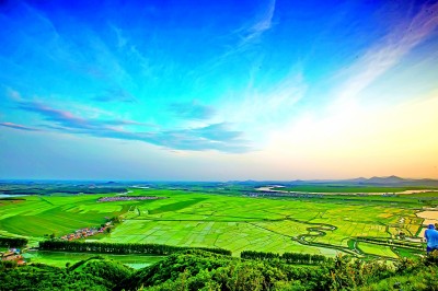 稻菽千重浪 农园入画来——吉林省吉林市稳步推进农业高质量发展 稻菽千重浪 农园入画来——吉林省吉林市稳步推进农业高质量发展