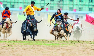 雪域长歌谱新曲
