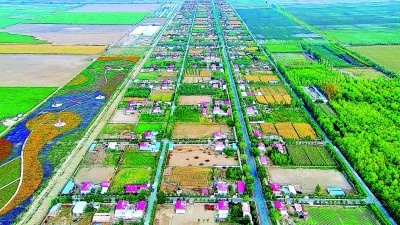 新疆奎屯市开干齐乡高疙瘩泉村:“菌香”四溢促蝶变 新疆奎屯市开干齐乡高疙瘩泉村:“菌香”四溢促蝶变