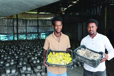 发展权:为了人人共享的未来 发展权:为了人人共享的未来