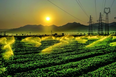 苗岭新风采 丰收满黔山 苗岭新风采 丰收满黔山