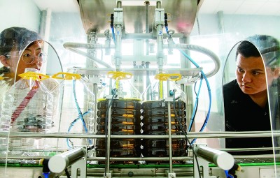 科技赋能 油菜飘香