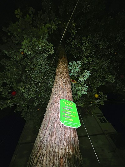 “东方宝石”城里安家 “东方宝石”城里安家