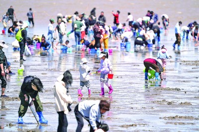 遏制“打野”乱象 筑牢生态防线