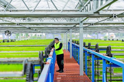 以“智”促治让城市管理更精准