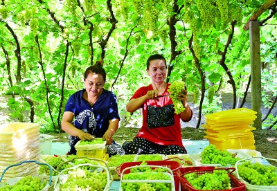 甜蜜的事业，幸福的滋味……