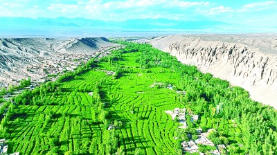 甜蜜的事业，幸福的滋味……