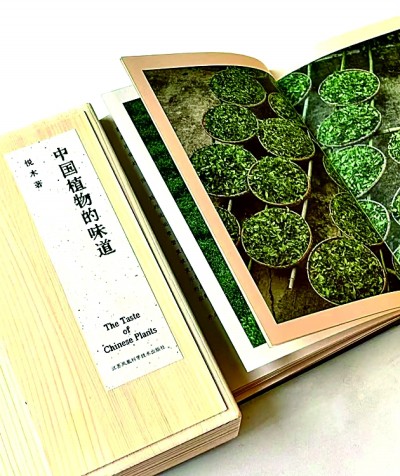 《中国植物的味道》：盏中浮沉寻本真