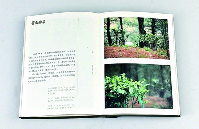 《中国植物的味道》：盏中浮沉寻本真