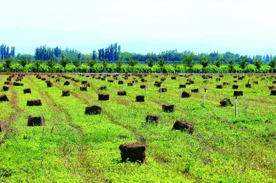 天山北坡新答卷
