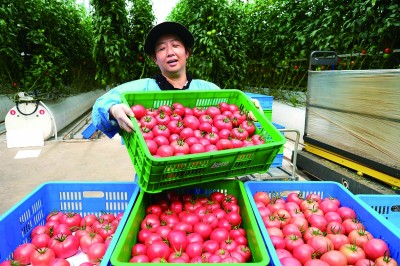 天山北坡新答卷