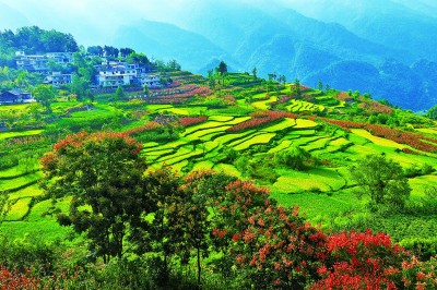 【大美中国】秋染梯田