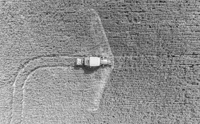 白露将至田间忙