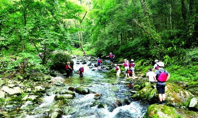 野游野趣，生态保护“红线”不可越