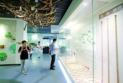 从“数量领跑”到“品质出圈”——北京高质量建设博物馆之城释放文化力量 从“数量领跑”到“品质出圈”——北京高质量建设博物馆之城释放文化力量