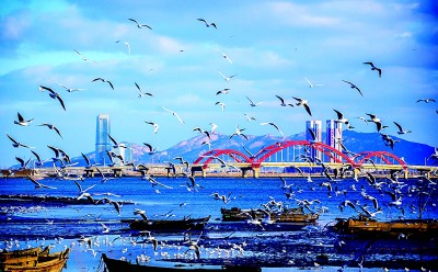 山东省烟台市牟平区养马岛街道张家庄村：小岛上遍地好风光