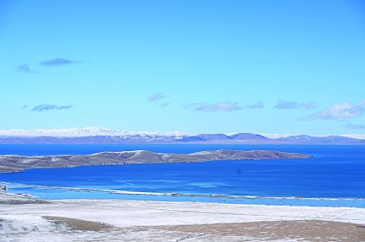 战国秦朝之际的“采药”