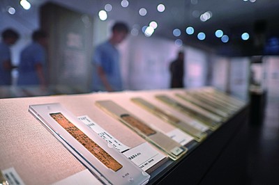 战国秦朝之际的“采药”