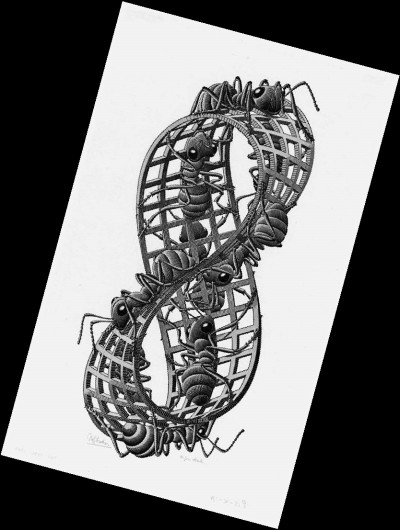 埃舍尔：最像数学家的艺术家