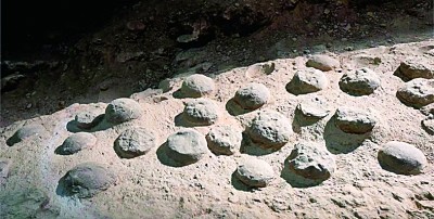 8600万年前!最大恐龙蛋化石群年代谜题被破解 8600万年前!最大恐龙蛋化石群年代谜题被破解