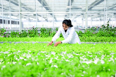 新疆维吾尔自治区70年发展成就斐然——同心共筑梦 天山绽新颜 新疆维吾尔自治区70年发展成就斐然——同心共筑梦 天山绽新颜