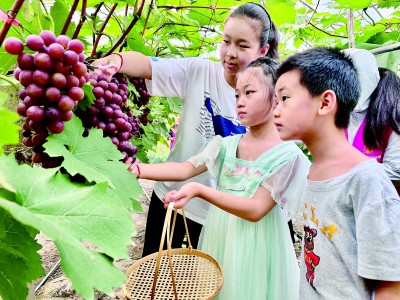 江苏省常熟市支塘镇蒋巷村：乡情浓郁聚民心