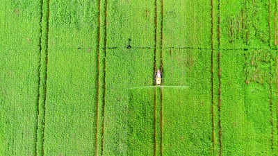 【砥砺奋进七十载 天山南北谱华章】在新疆，一路风景一路歌