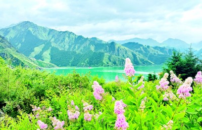 【砥砺奋进七十载 天山南北谱华章】在新疆，一路风景一路歌