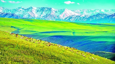 【铭记历史 缅怀先烈·走进昔日的抗日战场】巴什拜,爱国的故事星星一样多 【铭记历史 缅怀先烈·走进昔日的抗日战场】巴什拜,爱国的故事星星一样多