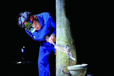 橡胶树育种的科研接力 橡胶树育种的科研接力