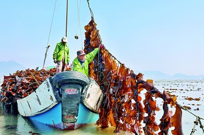 【携手奔赴现代化的明天】怎样经略海洋?福建给我们打了个样儿! 【携手奔赴现代化的明天】怎样经略海洋?福建给我们打了个样儿!