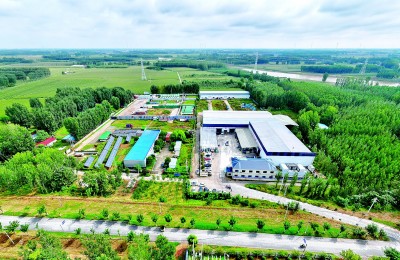 河南省濮阳市濮阳县清河头乡桃园村:家门口端稳就业饭碗 河南省濮阳市濮阳县清河头乡桃园村:家门口端稳就业饭碗