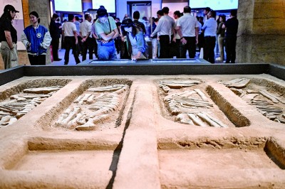 守护好周代都邑城址文明