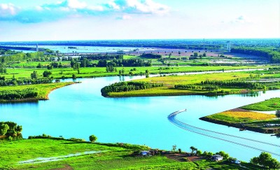 一泓碧波群鸟栖