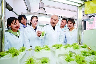聚焦国家重大战略需求,展现更大作为 聚焦国家重大战略需求,展现更大作为