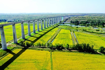 “历史耐心”的理论内涵与实践要求