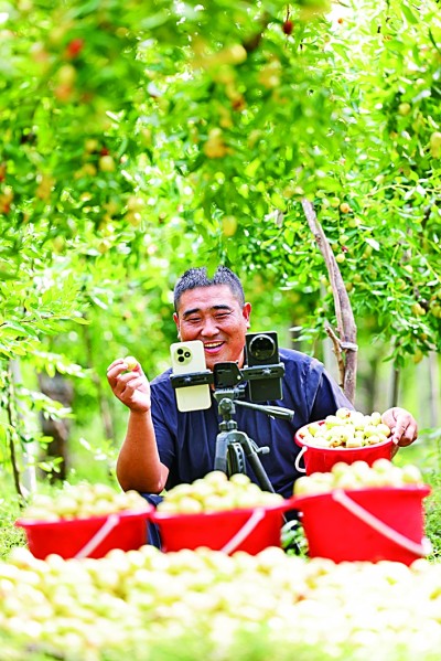 “果篮经济”正当时