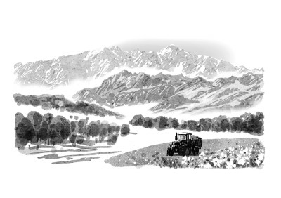 收集木叶（小说）