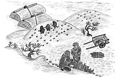 在日常中书写生命的辽阔