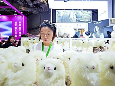 统筹安全与发展，推动建设开放型世界经济