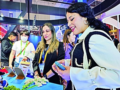 统筹安全与发展，推动建设开放型世界经济