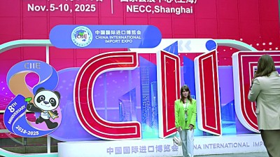 统筹安全与发展，推动建设开放型世界经济