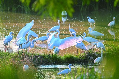 让美丽中国更加多姿多彩