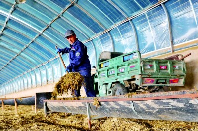 内蒙古乌兰察布市集宁区白海子镇六苏木村：资源“潜力”变发展“红利”