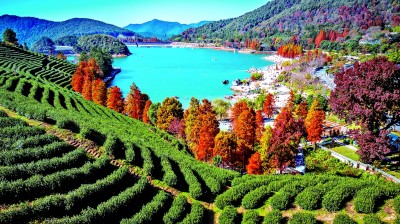 浙江省金华市婺城区罗店镇鹿田村：山水“颜值”变产业“价值”