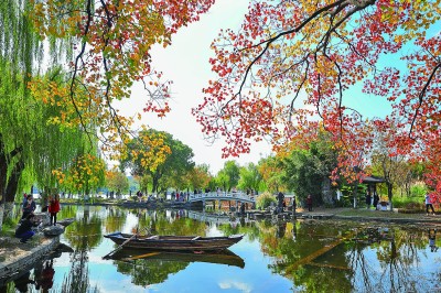 【大美中国】斑斓冬韵