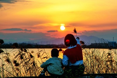 滩涂之上筑新城