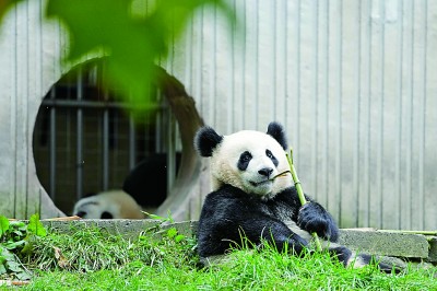 生机无限，在这片美丽的土地上