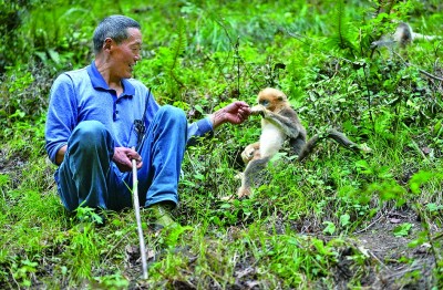 生机无限，在这片美丽的土地上
