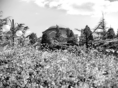 以个性化教育培养科研创造力